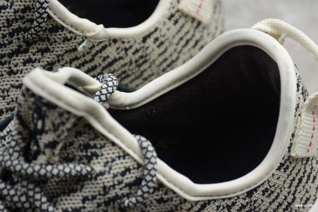 350 Adidas Dove Turtle YEEZY AQ4832 Boost 1001